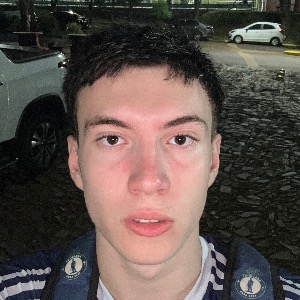 DANIEL VOGARINS PIRES